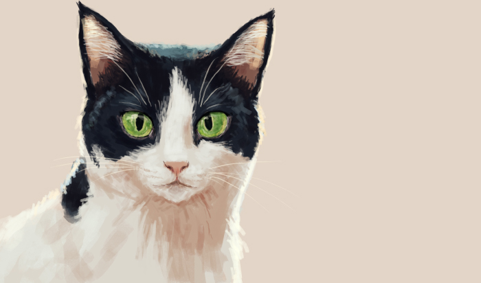 今日のにゃんこ ざっくりと 脳と目のリセット #一日一絵 #猫イラスト 