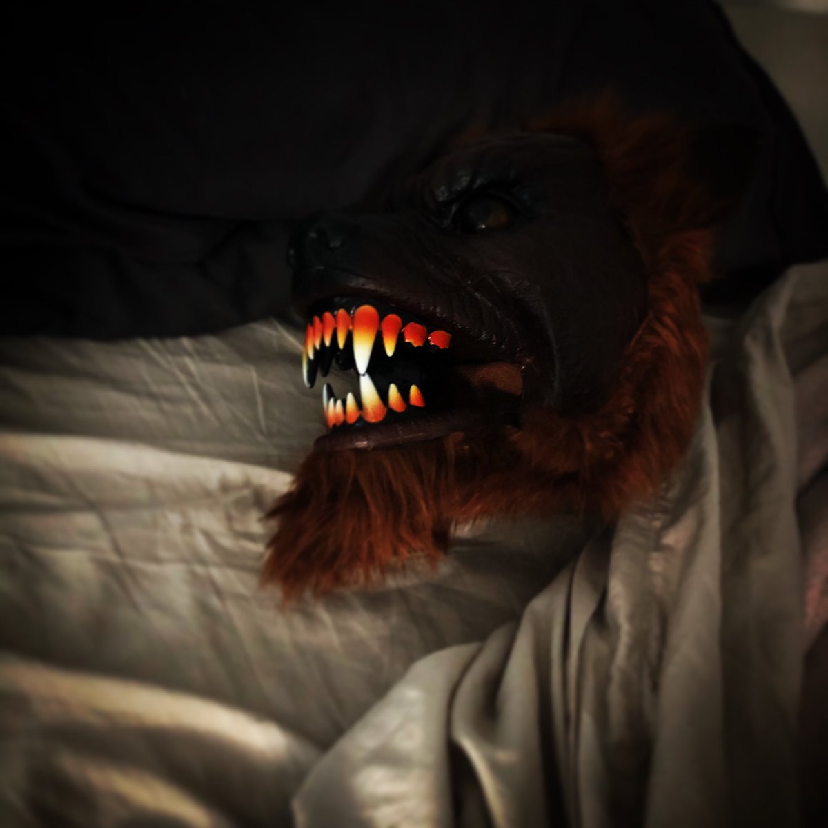 SymaChowdhry's tweet photo. I know it’s not Halloween but I’m trying to scare my husband by putting this under the blanket on his side of the bed 🤣 #quarantinegames #boo #keeponeeyeopen https://t.co/mMW1sOcU9t