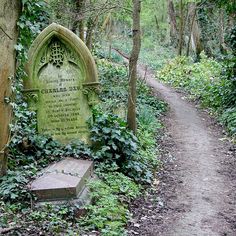 TicaProductions's tweet image. A Mysterious beauty #Cinematic #VisualDirector