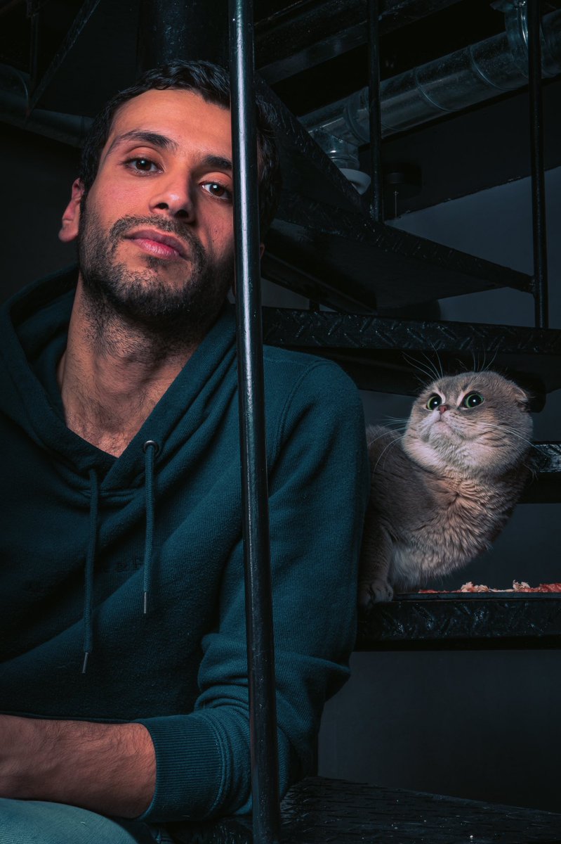skygenes's tweet photo. You’re about to enter cats WONDERLAND ✨ 🐱 RT to enter https://t.co/YINgjRtZ0j