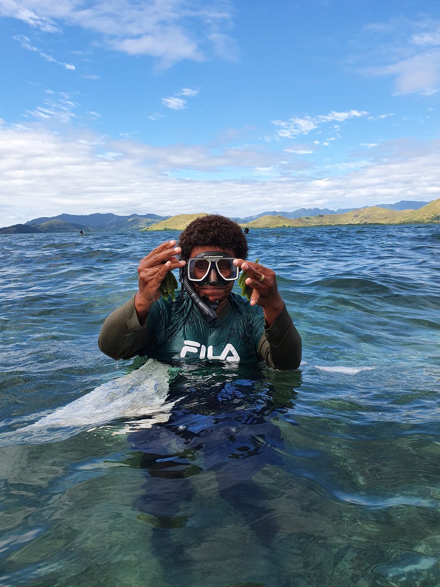 Yesterday, our team was glad to have visited Namuaimada Village and have a chat with #WomenInFisheries. 

Women do most unpaid and paid care work. With the pandemic it's much more!

#COVID19Gender
#ShiftingPowerShiftingVoice
#TeamFiji