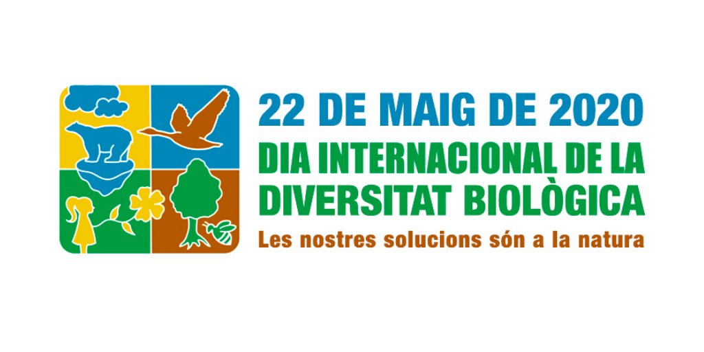 VolAmbiental's tweet photo. 👉22 maig, Dia de la Diversitat Biològica
 #DiaBiodiversitat

🤔🐝Sabies que la biodiversitat és la millor aliada per lluitar contra futures pandèmies i els efectes del canvi climàtic?
 
🌳👩‍🦰La salut de la #natura és la salut de les persones
 
▶️https://t.co/8IFHKMZXJd
 
(1)FIL👇 https://t.co/Ua4uttoZ5d