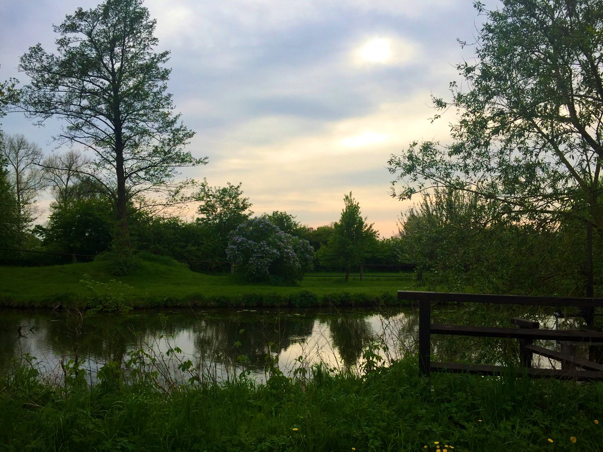 Malcolm_Dorian's tweet photo. #Bike ride 🚲 through beautiful #nature 🇩🇪 https://t.co/b5zCqNzuJB