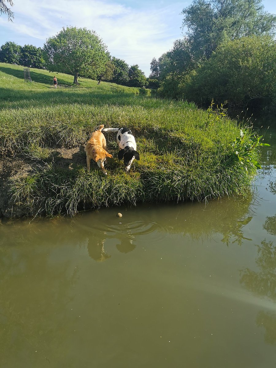 ScusemeCambs's tweet photo. Have fun this 💦 BankHoliday 💜 scuseme
#scusemeCambridge #scuseme #localrecommendation #BankHoliday #Friday #scuseme #scusemeApproved #TradesForLife #Cambridge #dogs https://t.co/AHvelSMnIv