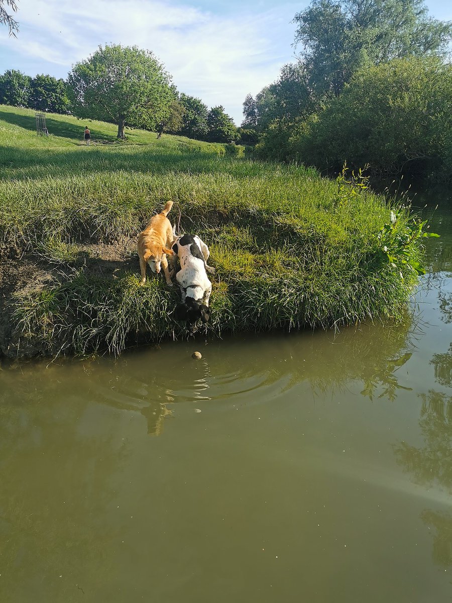 ScusemeCambs's tweet photo. Have fun this 💦 BankHoliday 💜 scuseme
#scusemeCambridge #scuseme #localrecommendation #BankHoliday #Friday #scuseme #scusemeApproved #TradesForLife #Cambridge #dogs https://t.co/AHvelSMnIv