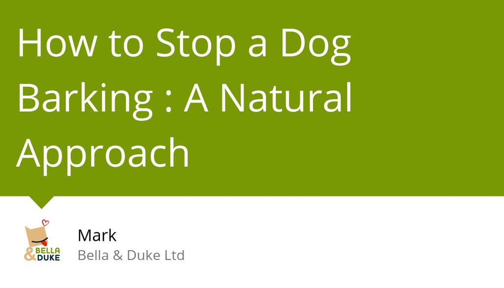 BellaAndDuke's tweet image. Dogs (as we do) need to know they are heard,listened to, understood and safe.

Read more 👉 lttr.ai/RCvz

#Bark #Barking #DoggyHealthHappinessBlog #Dog