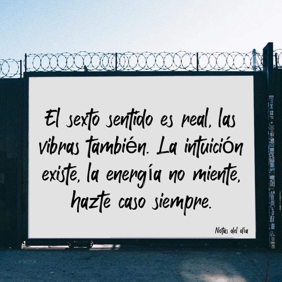 LizCabrera97's tweet photo. 𝕧𝕚𝕖𝕣𝕟𝕖𝕤 🤗 https://t.co/l8TPYbuEn4
