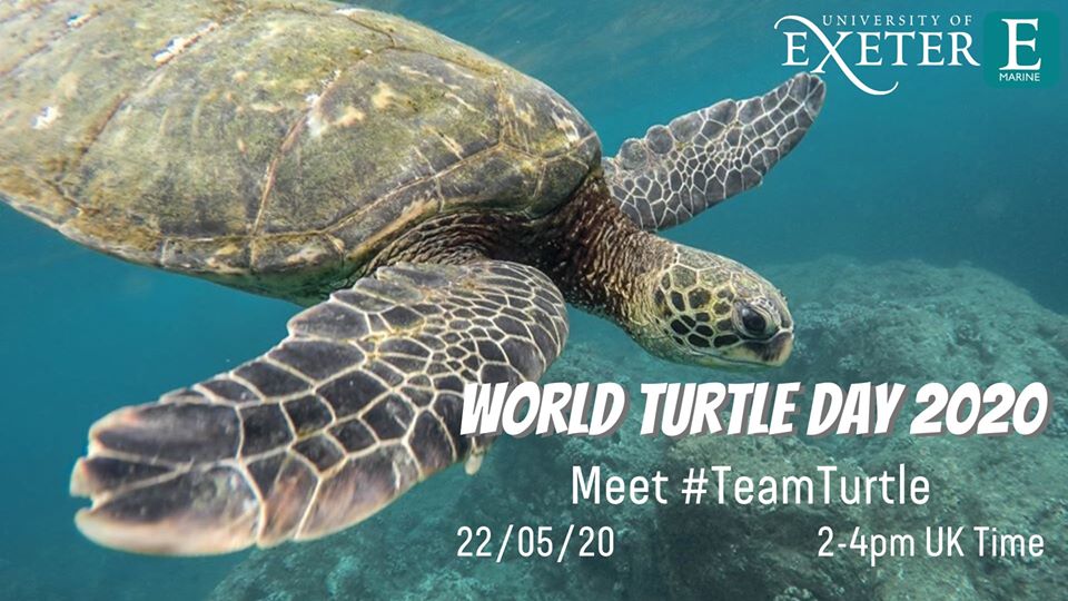 Exalumni's tweet image. Happy #WorldTurtleDay! Join @ExeterMarine experts this afternoon to learn more about sea turtles and our conservation work. Submit your questions during the live Q&amp;amp;A over on @Facebook - 14:00 - 16:00 BST
facebook.com/events/2756767…
#TeamTurtle