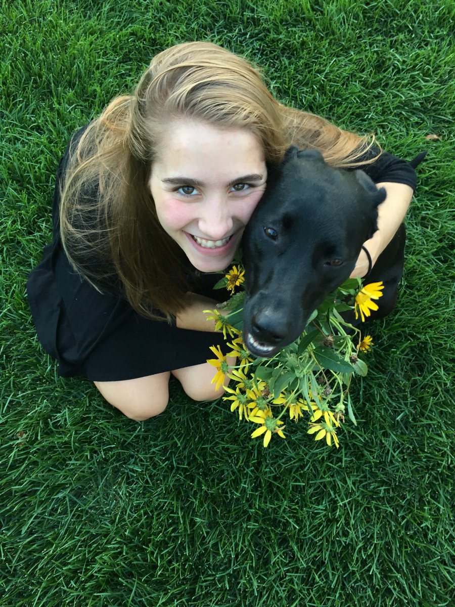 abbeydurand's tweet photo. It’s Mowgli’s fifth birthday today!! 🥰❤️🎈🎉 https://t.co/RhlcEHL7Li