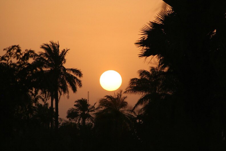 bubacam21's tweet image. 