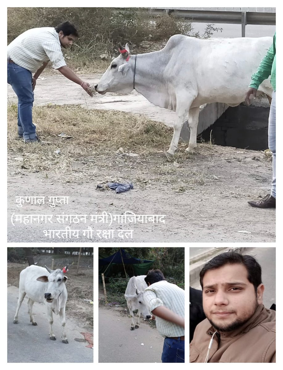 Bhartiya Gau Raksha Dal tweet media