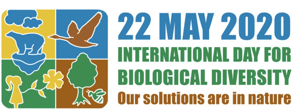 for_igniting's tweet photo. Nature,time and patience are the three great physicians.
22May:The theme of the International Day of Biological Diversity2020 is:”Our solutions are in nature"
@NDNS_HQ @fonindia @deespeak @inbiodiversity @PATT_Foundation @saytrees_ind @afforest4future @AfforestationLb @UN @nature https://t.co/M0t2bR5Jtp