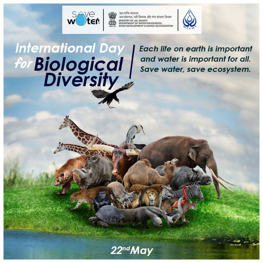 DoWRRDGR_MoJS's tweet image. International Day For Biological Diversity!

Each life on earth is important and #water is important for all.
#SaveWater, #SaveEcosystem.

#BiologicalDiversity #InternationalDayForBiologicalDiversity
