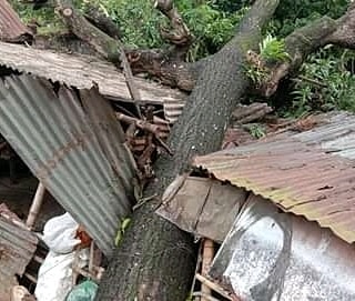 TaiyebaTamima's tweet photo. ঘূর্ণিঝর আম্পান ভেঙ্গে দিয়ে গেল অজস্র মানুষের স্বপ্ন, নিয়ে গেল চোখের ঘুম, শান্তির আশ্রয়। হাহাকারিত মানব হৃদয়.... https://t.co/wX9jx8s90J