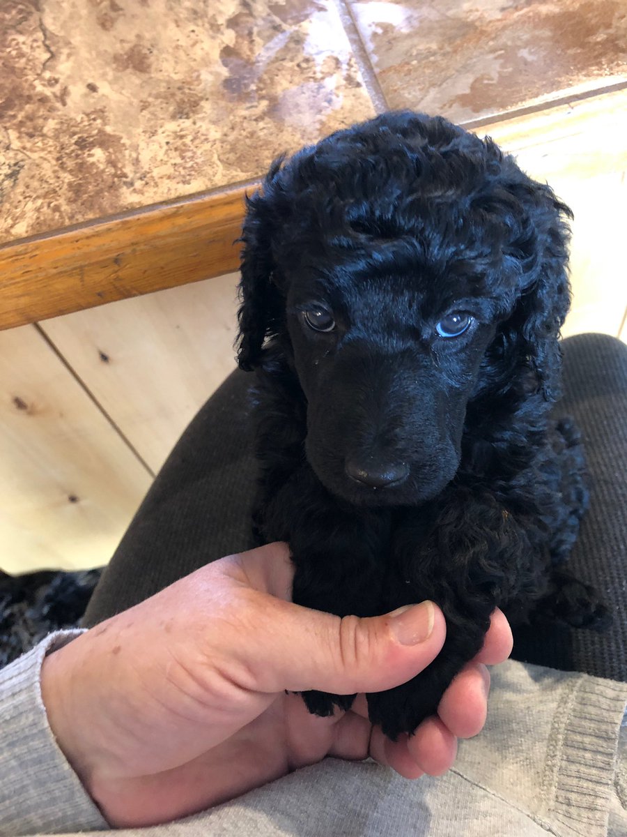 I get to bring my baby girl home in 8 days and I need a cute name for her! Hit me with some 💕