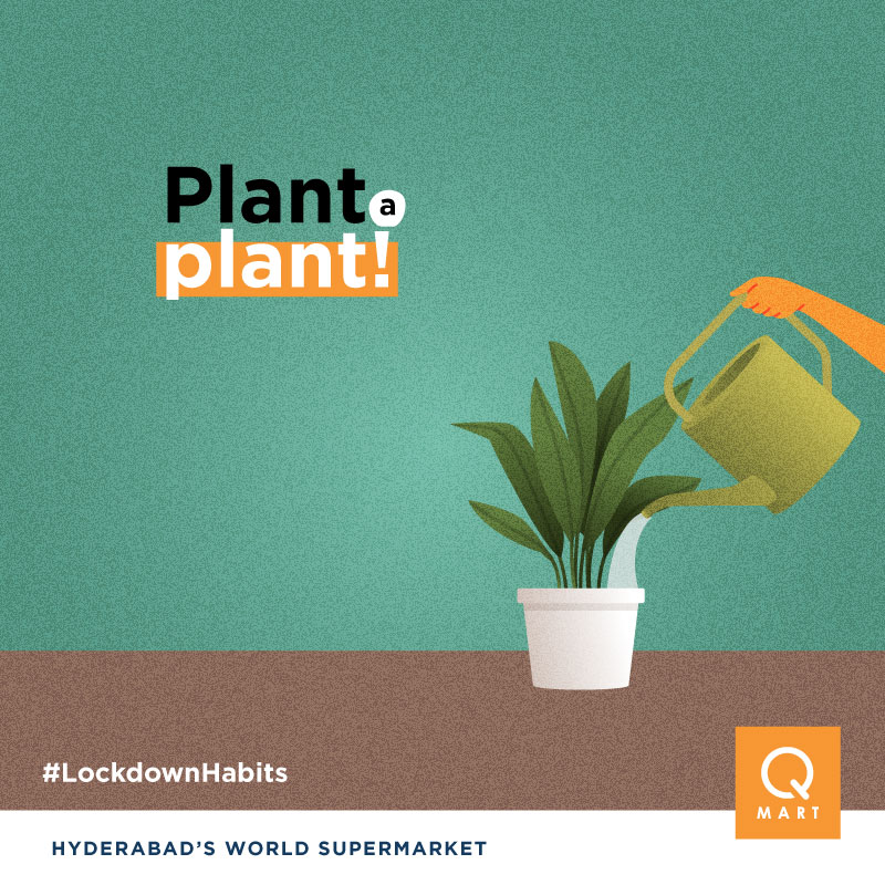 QMartRetail's tweet photo. Walk out of this lockdown with a new friend! Plant a small plant and engage in the stress-busting habit of gardening.
 
#LockdownHabits #QMart #QMartHyderabad #WorldSupermarket #GroceryShopping #SupermarketsinHyderabad #HyderabadShopping https://t.co/6EKL7x3vcz