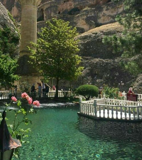 Kenley Ellison 🇺🇸 (@ellisonkenley) on Twitter photo 