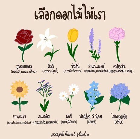 佳丽🐈‍⬛ tweet media