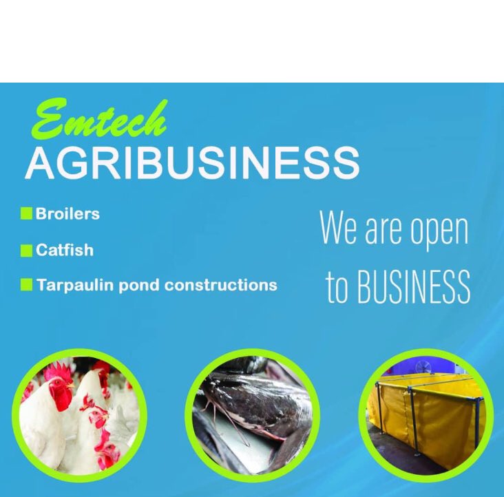 anumba_emeka's tweet photo. Order for your mobile/collapsable tarpaulin fish pond of any size and shape ..call or WhatsApp me on 07064637095..please help me retweet, my clients might be on your list🙏🏾🙏🏾..we deliver nationwide https://t.co/IoawDShDLE