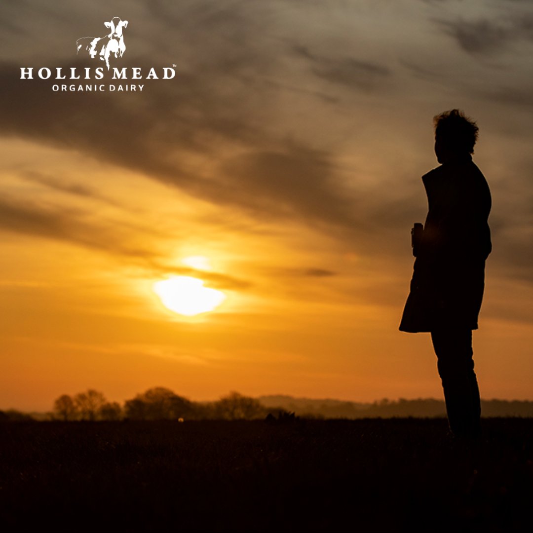 Dawn at Hollis Mead Farm  #westdorset #ukfarming #dorsetfarmers #dairyfarm #freshmilk #organicmilk  #dorset #visitdorset #dorsetlife #dorsetliving #countrylife #farmlife