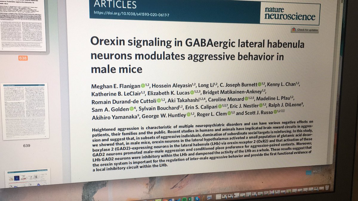 sinikahenschke's tweet photo. Enjoying my coffee while waiting for our virtual journal club to start. Going online makes a joint jc between the #LippertLab and the #BrueningLab possible 👩🏻🔬🥳 See you there, @RachelLippert! https://t.co/ZhkfHFzyqI
