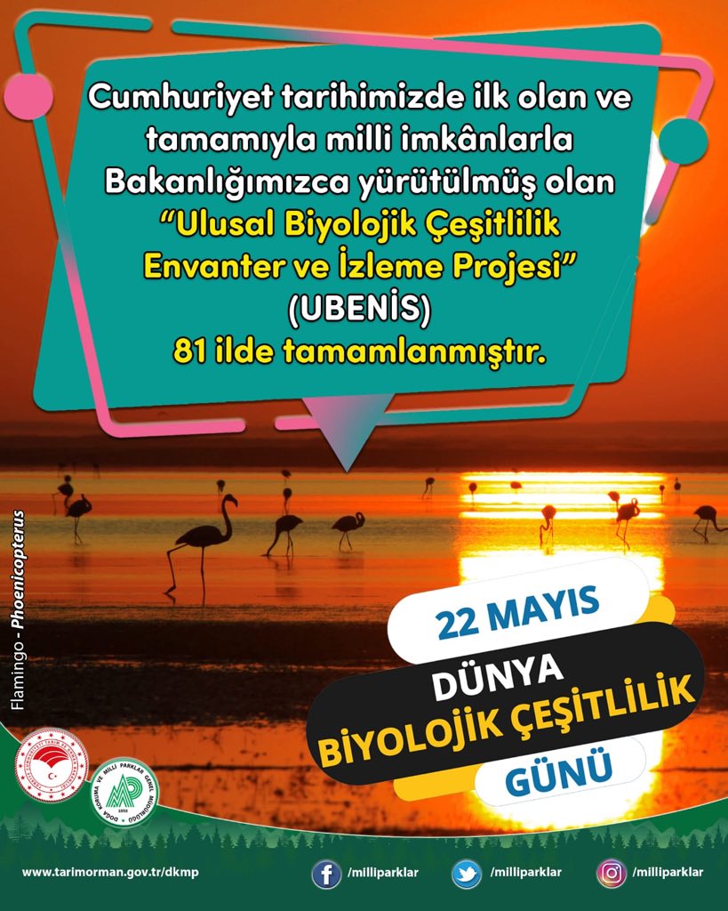 #DünyaBiyolojikÇeşitlilikGünü 
#ÇözümlerimizDoğadadır