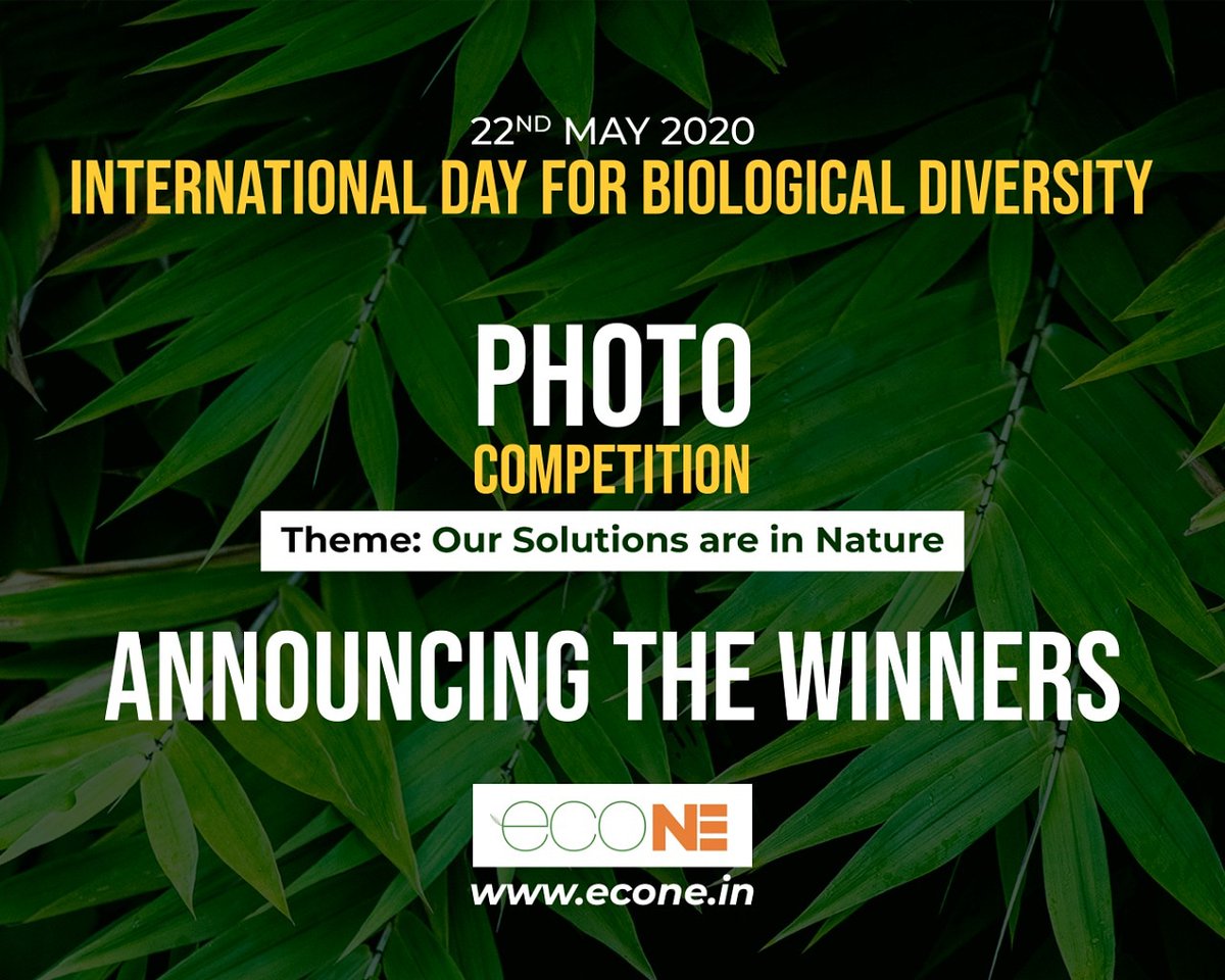 EconeMagazine's tweet photo. Join with us to congratulate the winners of #photographycompetition organized by #ecoNE on the occasion of #InternationalDayForBiologicalDiversity2020 

#NaturebasedSolution #Biodiversityyday #northeastindia

https://t.co/LrGVmgZFbB https://t.co/qekjrRMEWJ