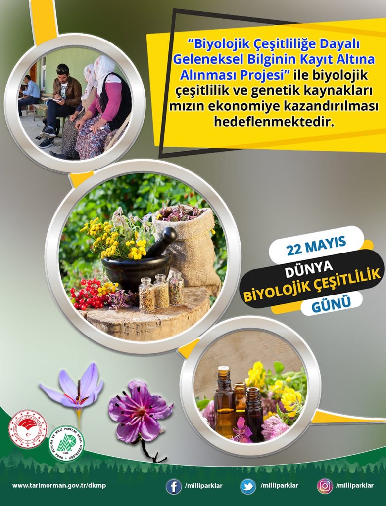 #DünyaBiyolojikÇeşitlilikGünü
#ÇözümlerimizDoğadadır