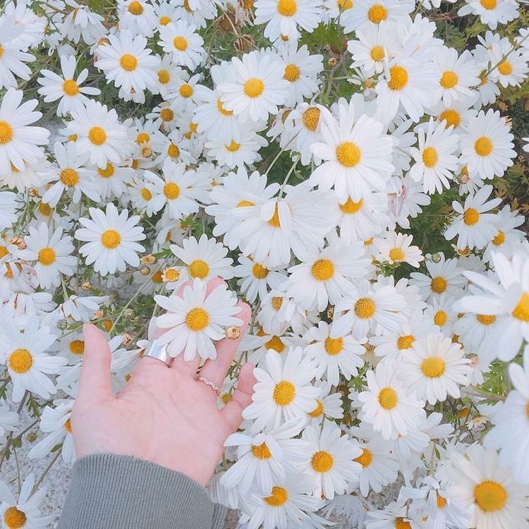 Allabout_KMV's tweet photo. be happy more than my universe #ถึงตัวเองในจักรวาลคู่ขนาน https://t.co/C0bf6MYJqI