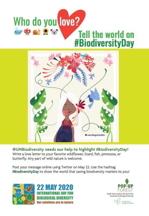 Happy Biodiversity Day! Let’s not destroy what keeps us alive #SamenVoorBiodiversiteit #BiodiversityDay