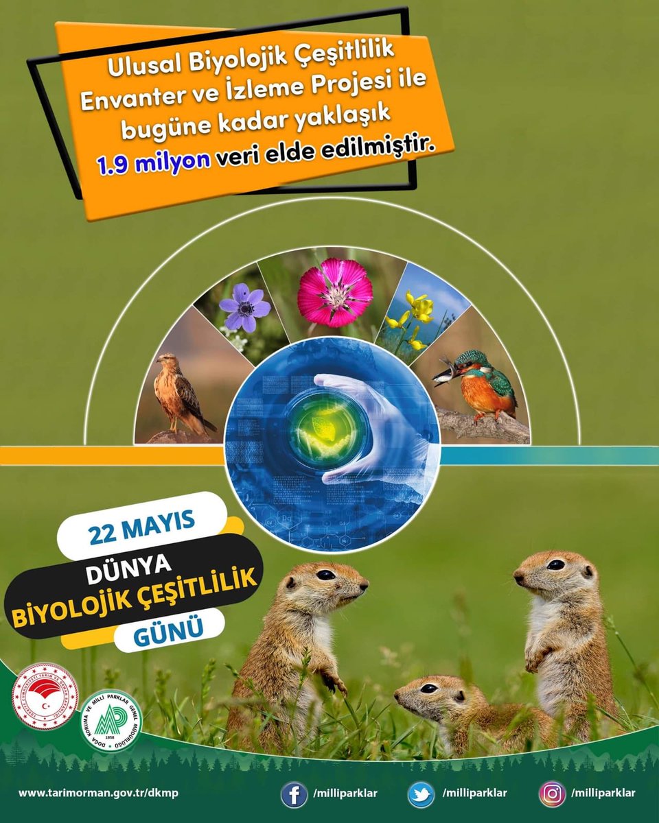 #DünyaBiyolojikÇeşitlilikGünü
#ÇözümlerimizDoğadadır