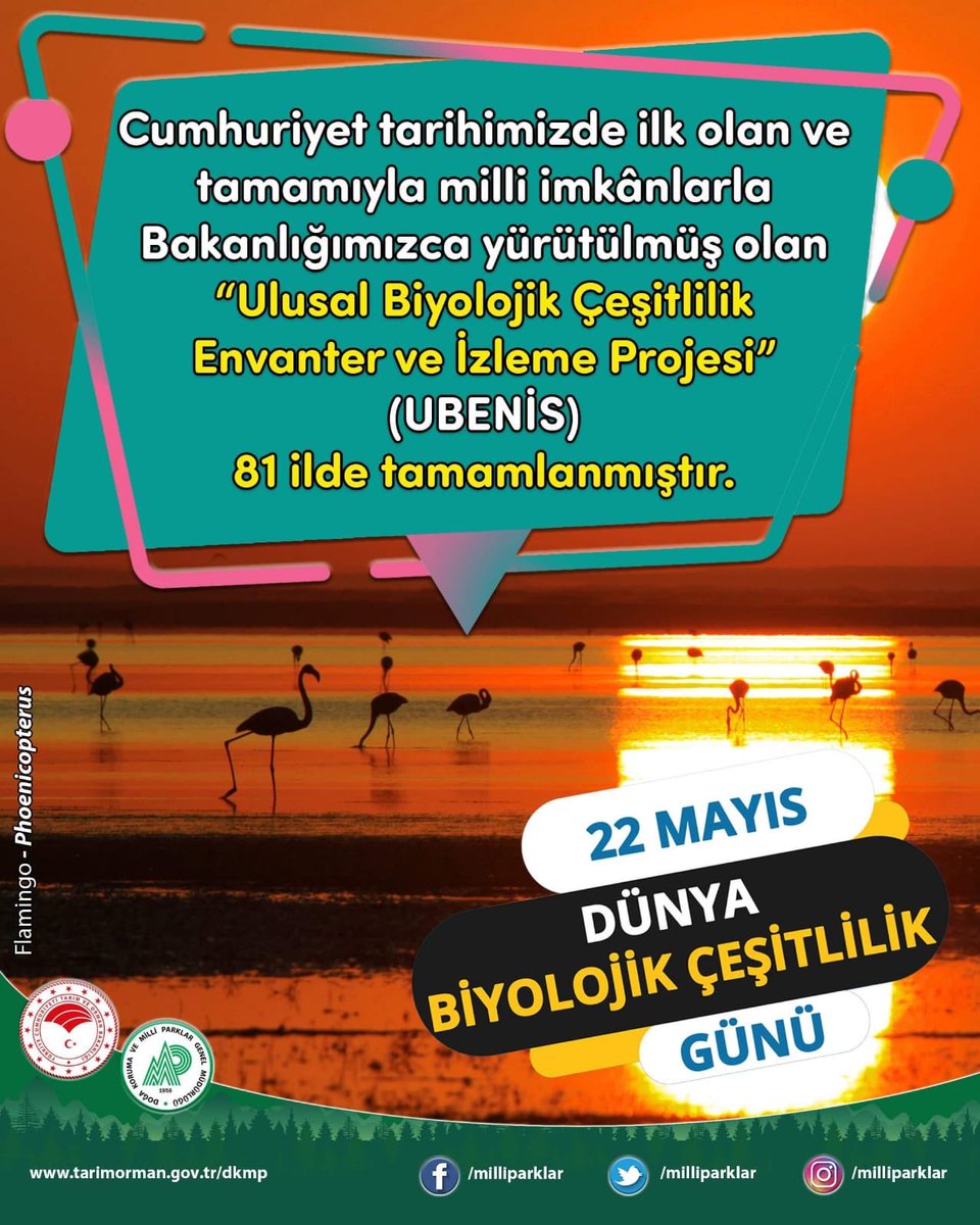 #DünyaBiyolojikÇeşitlilikGünü
#ÇözümlerimizDoğadadır