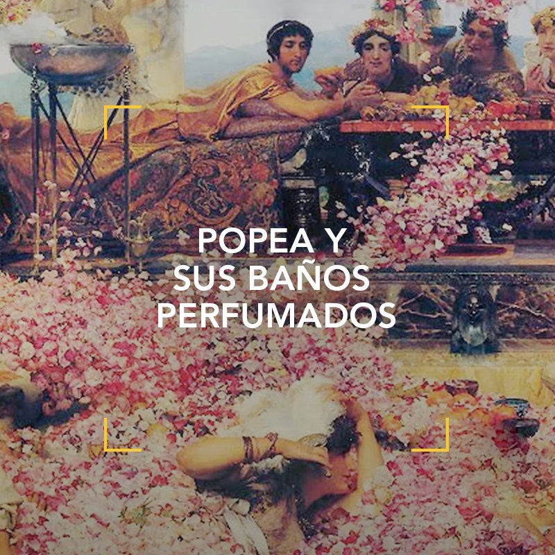 AcademiaPerfume's tweet photo. #Popea era otra amante del perfume. Hizo famosos sus baños en leche de burra aromatizada con lavanda y melisa, a la que añadía sal, aceite de oliva, bicarbonato y pétalos de rosa. Si quieres saber más sobre Popea y el perfume en Roma 👉 https://t.co/mTSPvQ0OQp
#HistoriadelPerfume https://t.co/6flIZ0z1Jj
