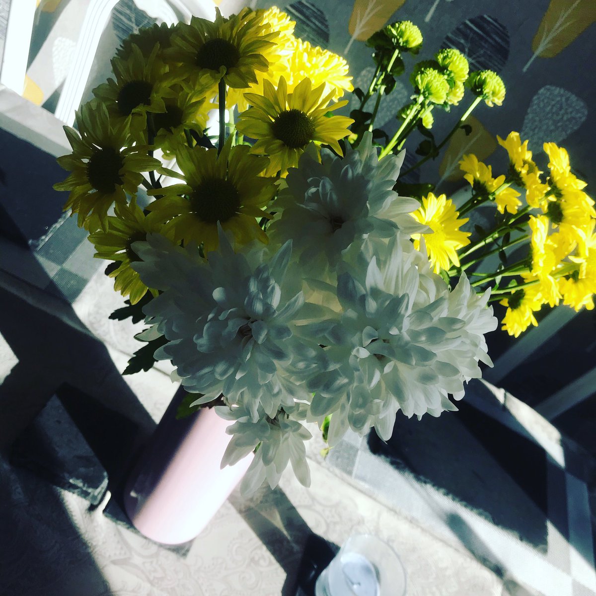 helsgotvertigo's tweet photo. I got these flowers bought on the 1st of May I put sugar in the water now the 22nd and they still havnt lost a petal 👌 #toptip #flowers #hack #Lidl #sugar #summery https://t.co/zYEeuSdzd1