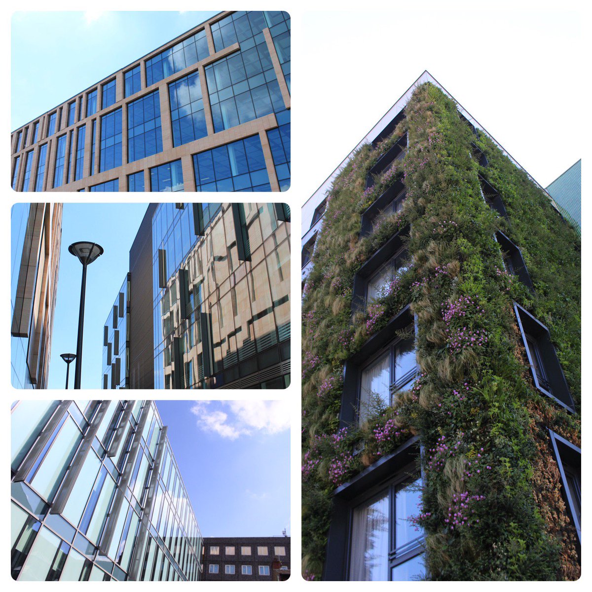 Instilled tweet media