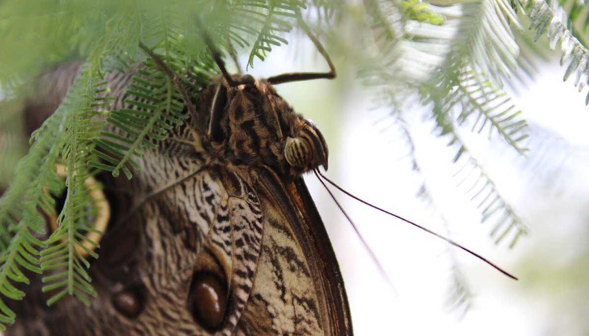 One picture from my website. Hopefully soon I’ll be able to take more like this angelastonebridgephotography.com