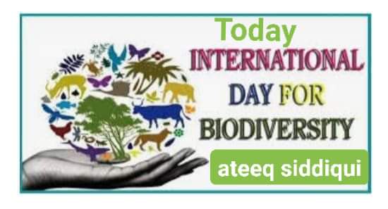 AteeqSiddiqui19's tweet photo. Globally, around 25% of all animal and plant species are threatened with extinction. This year the International Day for Biological Diversity is targeted towards raising awareness , biodiversity loss, in the lead up to the United Nations today #BioDay https://t.co/rqDIALAdel
