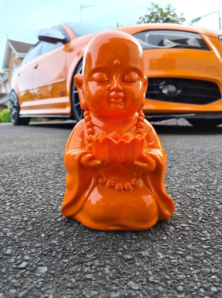 TrevorMudd's tweet image. He ain’t heavy, he’s my ‘Buddha’ ...... #allthingsorange 🍊👍