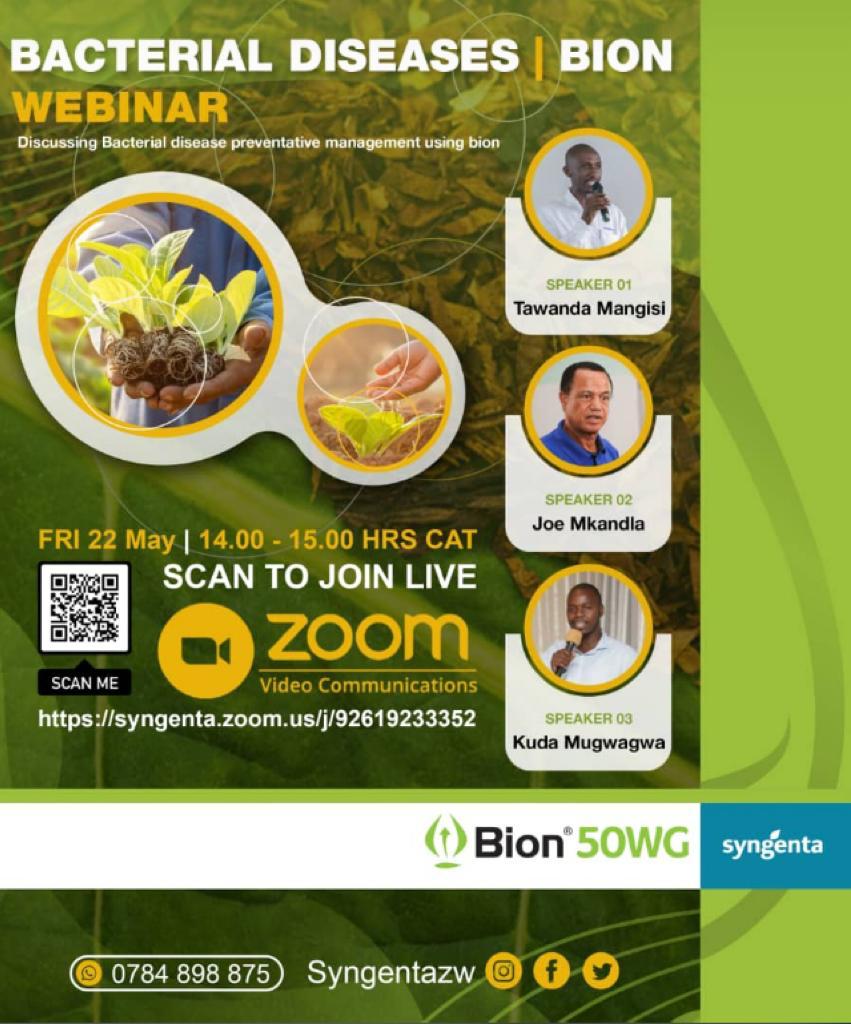 SyngentaZW's tweet photo. Did you know, plant diseases caused by bacteria are more difficult to control compared to fungal and viral diseases?
Make sure not to miss our webinar discussions at 1400hrs today as we unpack Bacterial disease management across many horticultural crops.@zfu_official
@MoLAWRR_Zim https://t.co/MasJNXcLVI