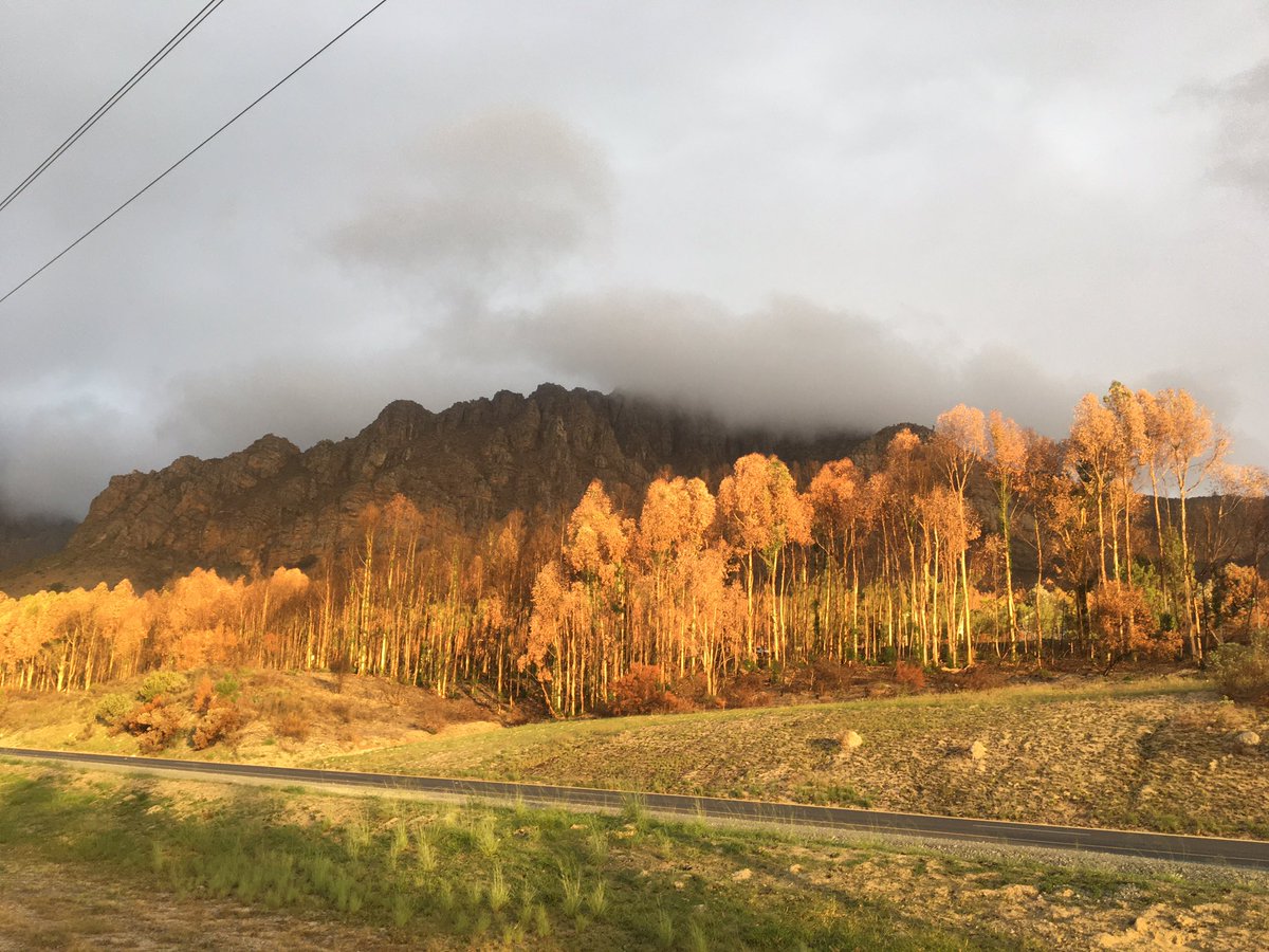 troysthoughts's tweet photo. Western Cape, South Africa.
#buyandsupportlocal #localislekker
@CapeTownTourism @HelloDarlingZA
@VisitSA_UK
@Franschhoek_SA https://t.co/MotKV7SHWb