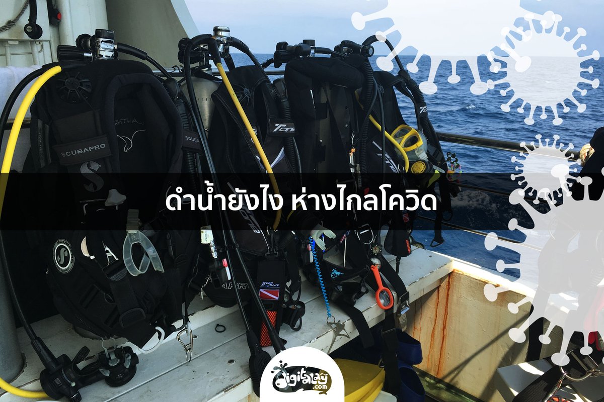 digitalay's tweet photo. ออกทริปดำน้ำยังไงให้ห่างไกลโควิด มาดูการรักษาอนามัยในทริปดำน้ำ ทั้งเรื่องอาหาร ห้องนอน การดำน้ำ และ การล้างอุปกรณ์ดำน้ำให้ปลอดเชื้อ

อ่านตัวเต็มที่นี่เลย : https://t.co/uZ14dgno0I https://t.co/GdAmG2MVRw