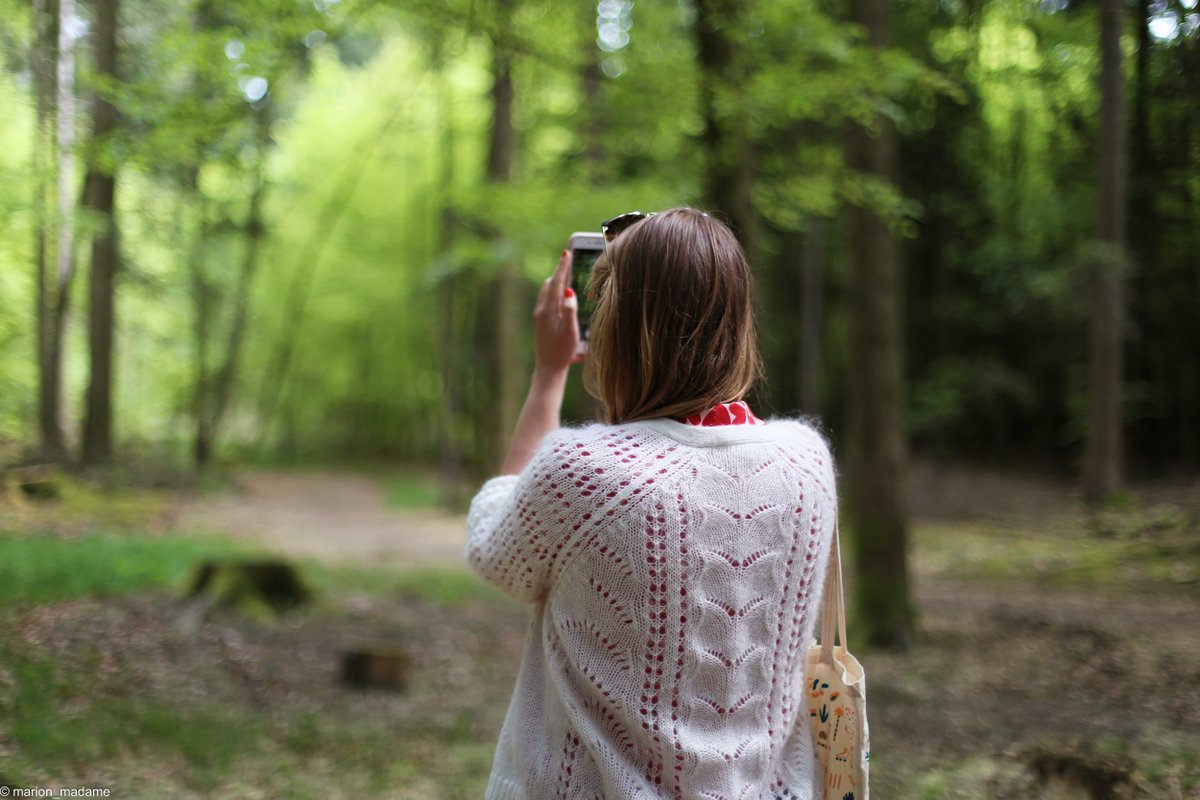 GroupePVCP's tweet image. Aujourd&apos;hui, c&apos;est la #Journeemondialedelabiodiversité ! Pour l&apos;occasion, découvrez toute la journée quelques espèces remarquables qui peuplent notre @centerparcsfr  #BoisAuxDaims et les actions que nous mettons en place pour favoriser leur développement 🐦🐛 #MoreThanHolidays