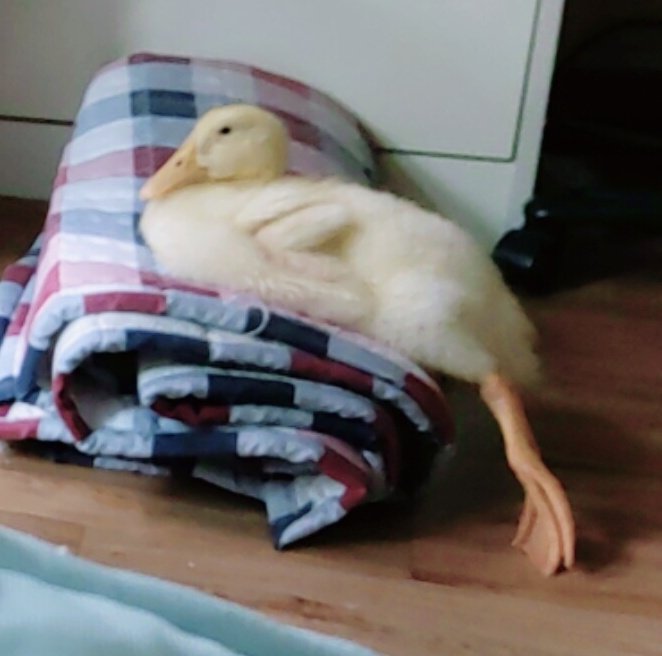 쟤 왜 저렇게 앉아있지