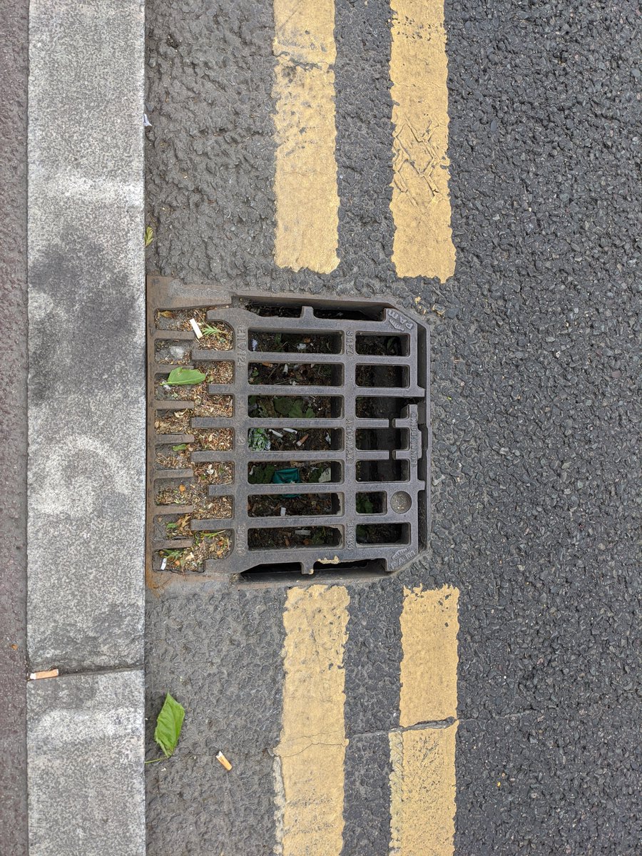 What I like about the Aquamax drains is they look deliberately designed to eat dropped mobile phones