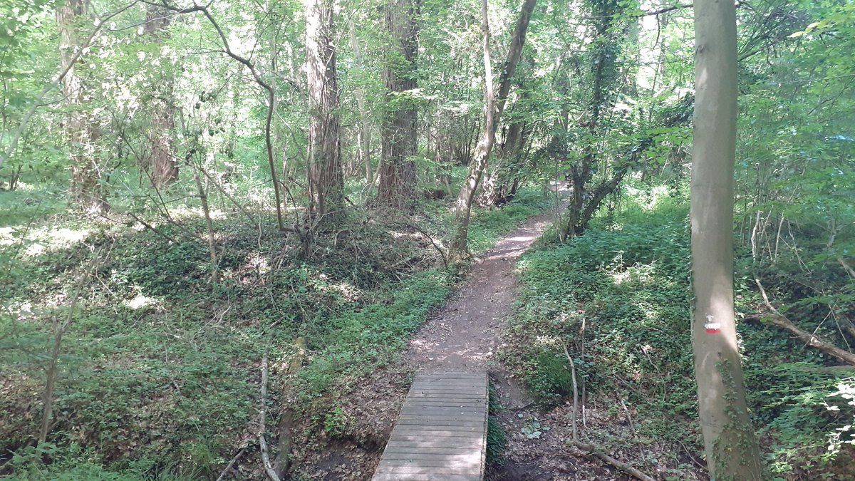 vicgosseye's tweet photo. Prachtige Hemelvaartwandeling achter de rug @gemeentebrakel .
#parike #everbeek
@VlaamseArdennen 🌞🌞🌞🌼🌼🚶‍♂️🚶‍♀️👍🌲🌳⚘ https://t.co/wSlGmyrmiT