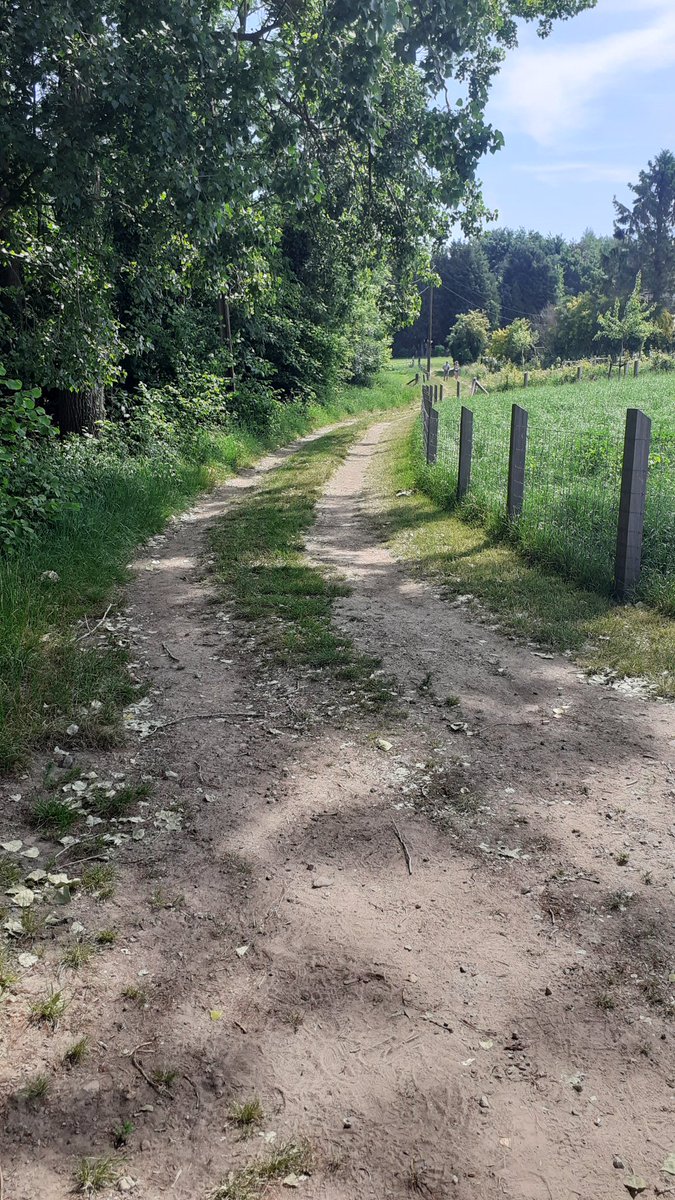 vicgosseye's tweet photo. Prachtige Hemelvaartwandeling achter de rug @gemeentebrakel .
#parike #everbeek
@VlaamseArdennen 🌞🌞🌞🌼🌼🚶‍♂️🚶‍♀️👍🌲🌳⚘ https://t.co/wSlGmyrmiT