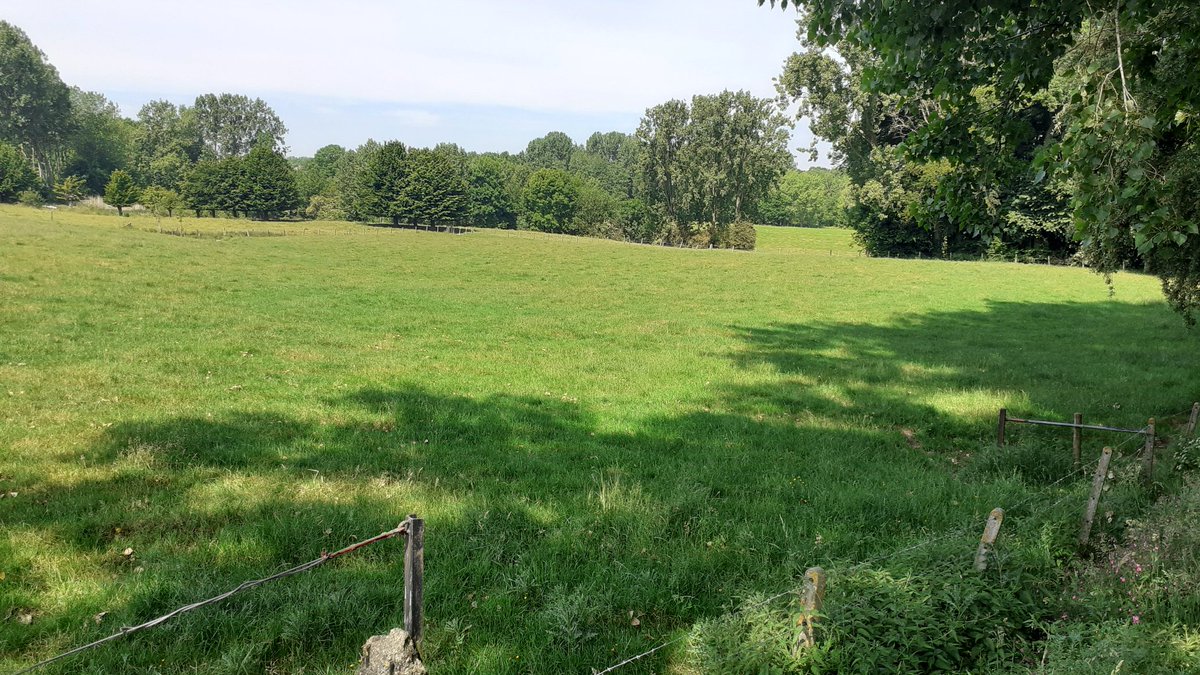 vicgosseye's tweet photo. Prachtige Hemelvaartwandeling achter de rug @gemeentebrakel .
#parike #everbeek
@VlaamseArdennen 🌞🌞🌞🌼🌼🚶‍♂️🚶‍♀️👍🌲🌳⚘ https://t.co/wSlGmyrmiT
