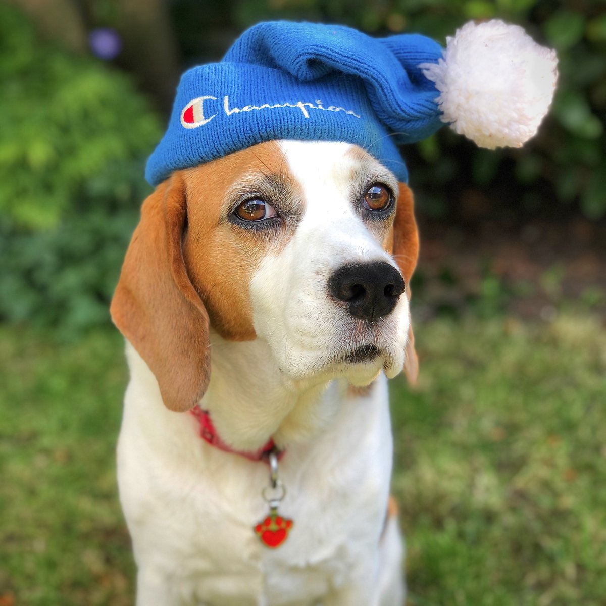 Ruby Garamond tweet media