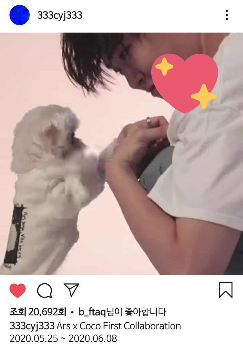 코코ㄱㅏ 내 심장때렸어