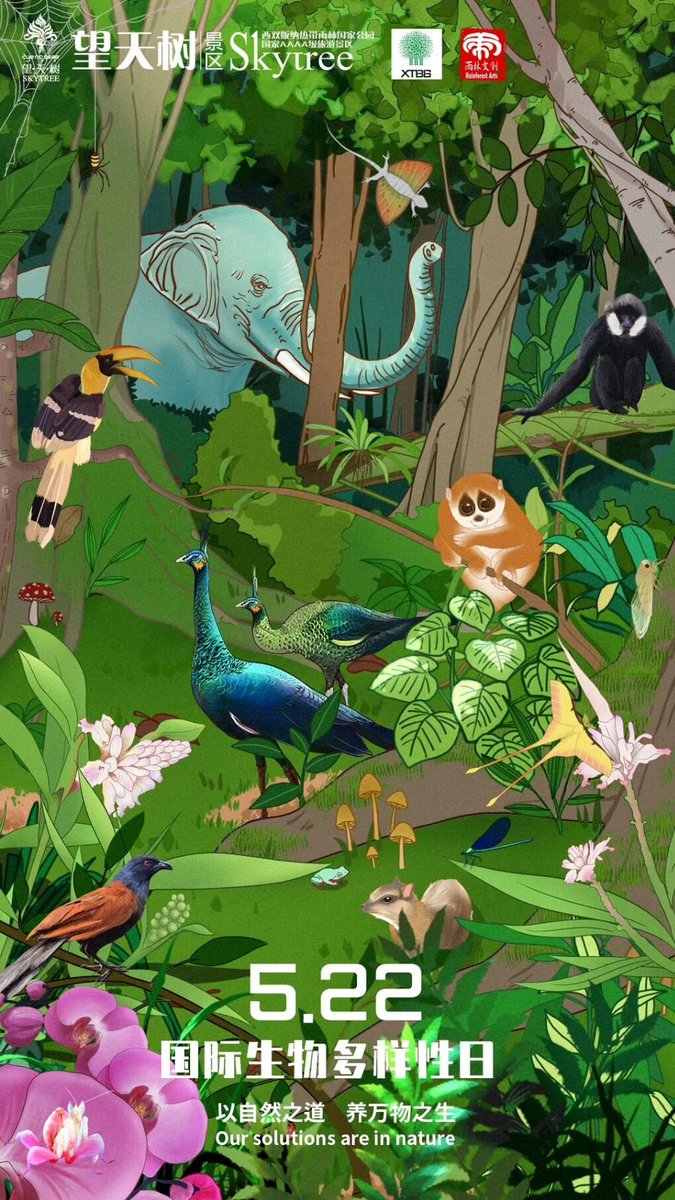 DiscoverBanna's tweet photo. International Day for #BiologicalDiversity (picture by Skytree Scenic Area ofXishuangbanna Tropical Rainforest #NationalPark) #Yunnan #travel https://t.co/5U8sD7dfH3